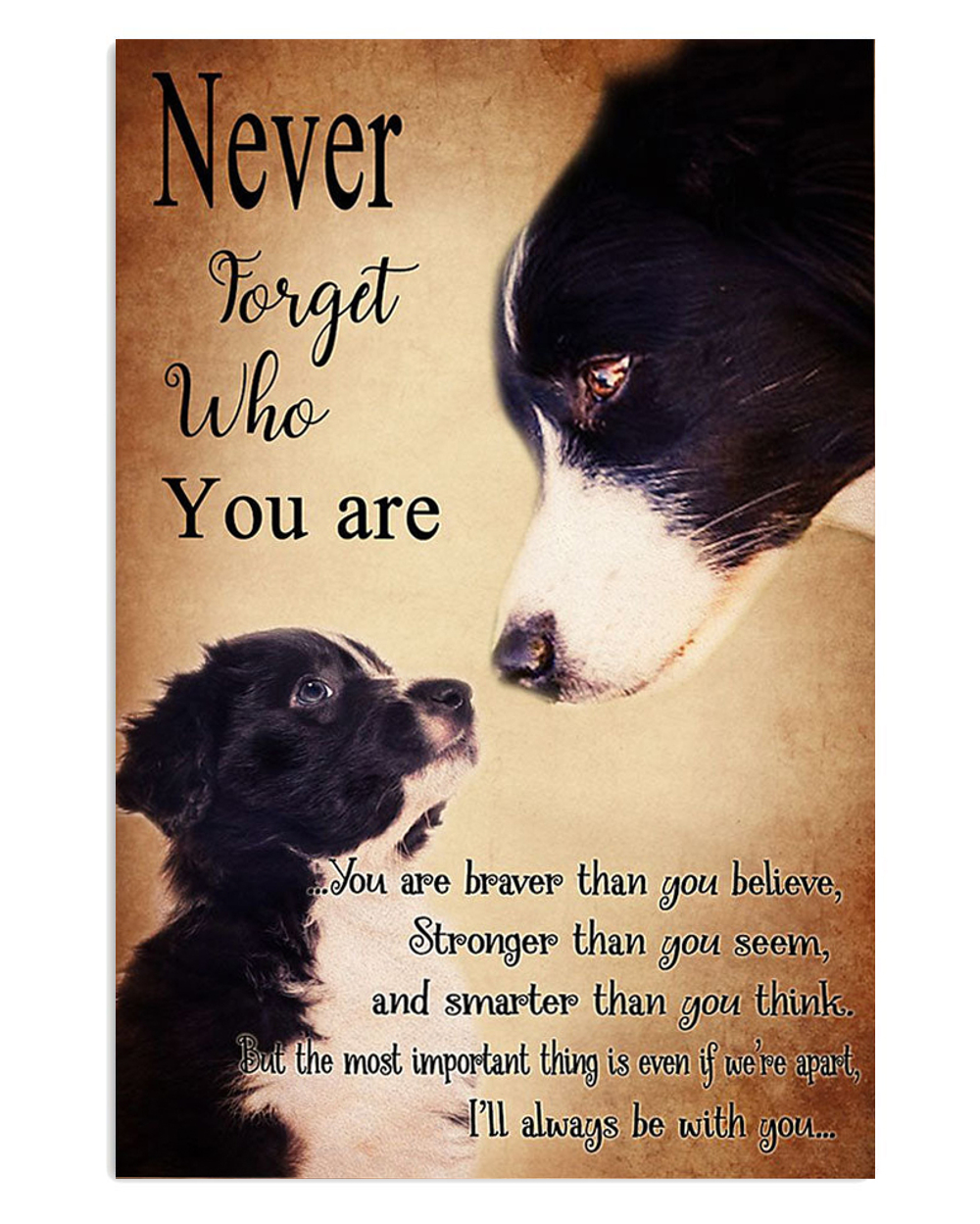 Border Collie Cute Dog Never Forget Who You Are Poster, Animal Lovers Vintage Wall Art, Dog Mom Gift
