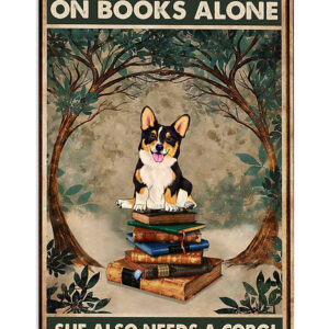 Cute Pembroke Welsh Corgi Prints Woman Loves Book And Dog Corgi Lover Poster, Corgi Vintage Wall Art