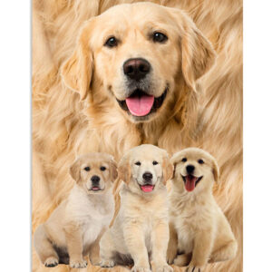 Golden Retriever Dog Puppies Dog Puppies Lover Poster, Animal Lovers Poster, Dog Mom Dad Gift