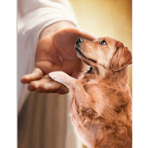 Golden Retriever Jesus Christ Gives Hand Dog Puppies Lover Poster, Animal Lovers Gift